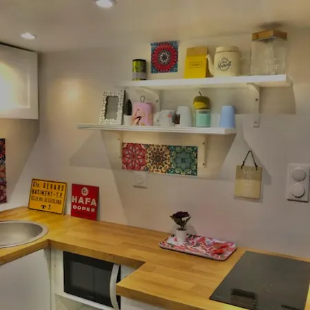 T2 Jardin Privatif 20mn De Paris Centre -disneyland Apartment